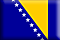 Bosnian and Hertzegovinan